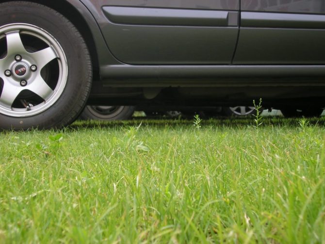 В Соликамском городском округе нарушения Правил благоустройства, связанные со стоянкой автомобилей на газонах, фиксируют с помощью «Дозор-ПМ»